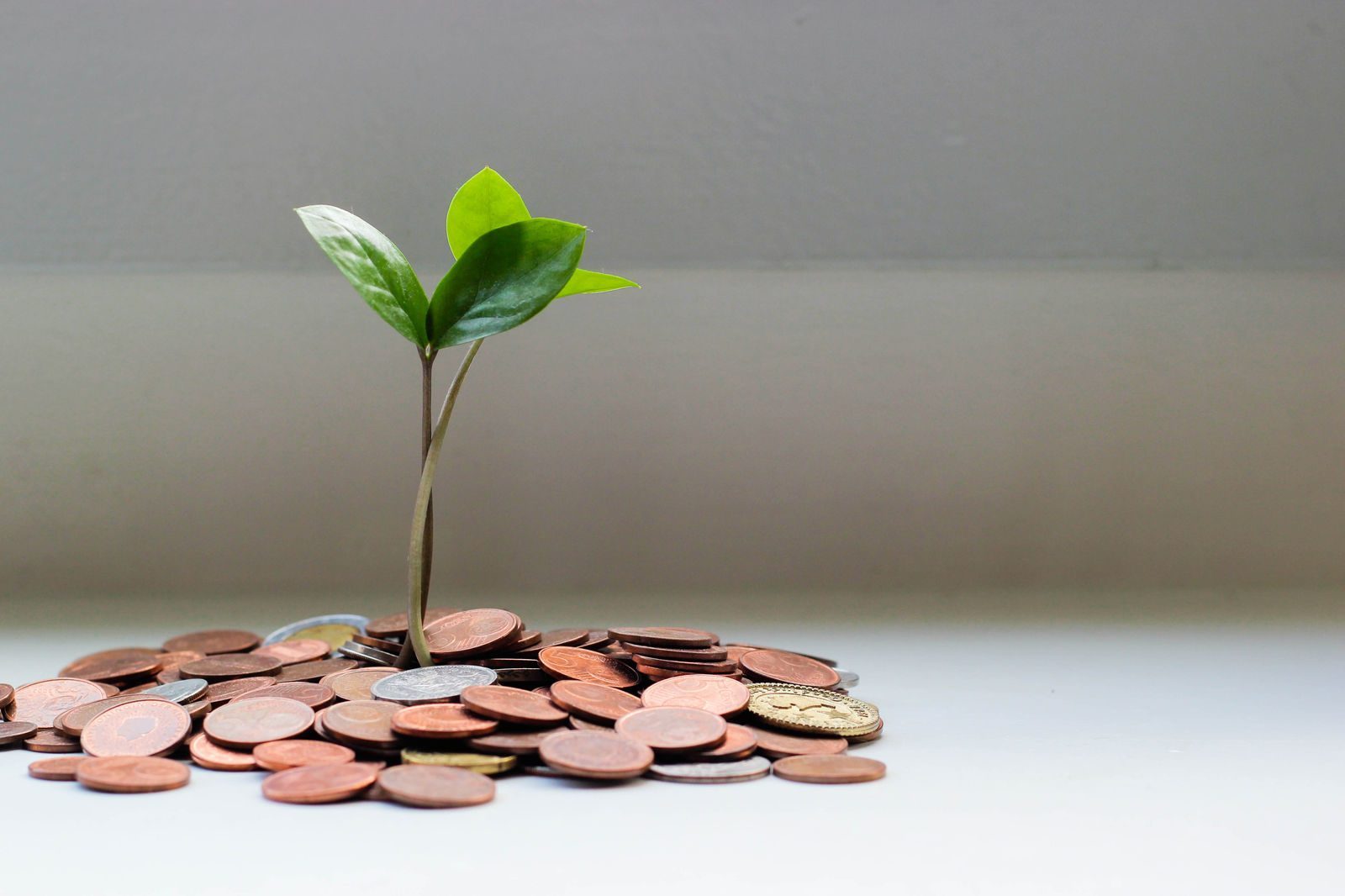 Cybersettle: Revolutionizing the Landscape of Financial Negotiation and Settlement