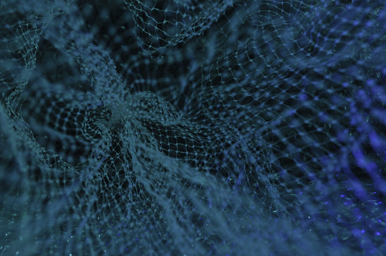 FalkorDB: Redefining Real-Time Knowledge Retrieval with Graph-Powered LLM