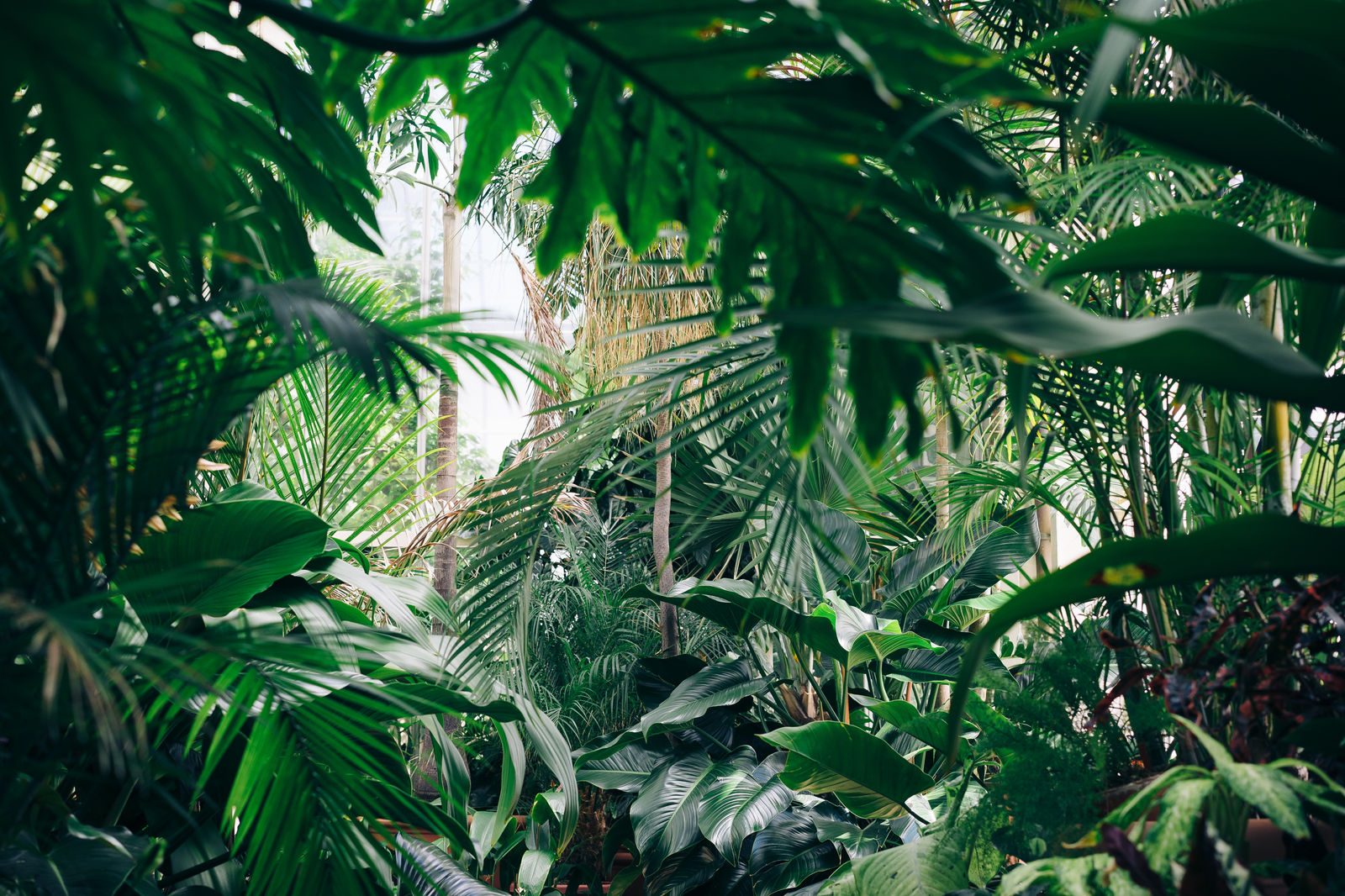 Merge Impact’s Quest to Eliminate Greenwashing Through Transparency