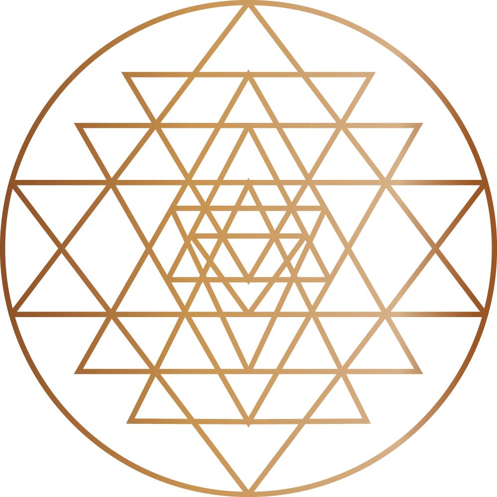 Xpansion Alchemy: Transformative Education forPersonal Growth and Collaboration